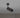 Exhaust Spot Graphite Cross