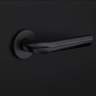Solid Sprung Door Handle DR100-G