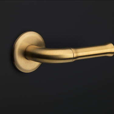 Solid Double Sprung Door Handle EV100/64