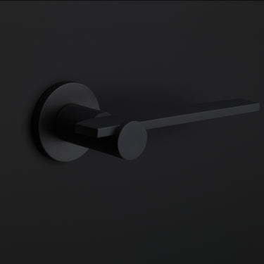 Solid Sprung Door Handle BB100-G