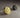 TOP Round Knob