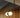 Nuvol Chandelier Hilo (horizontal)
